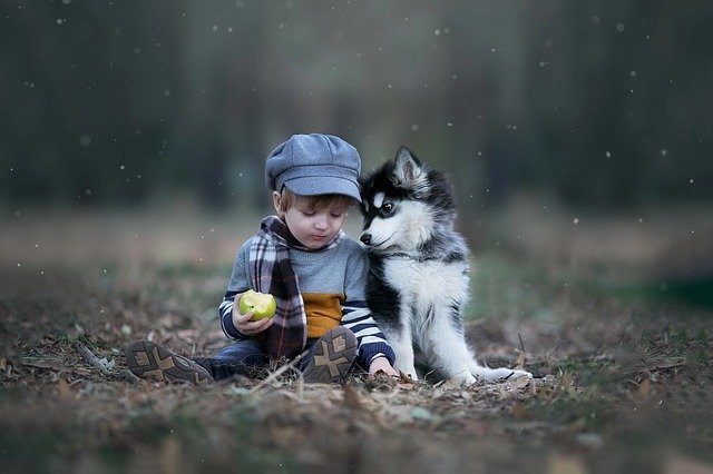 chlapec a pes
