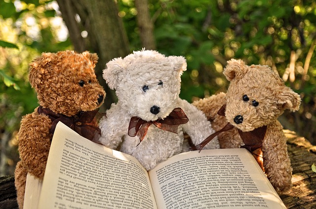 medvídci s knihou